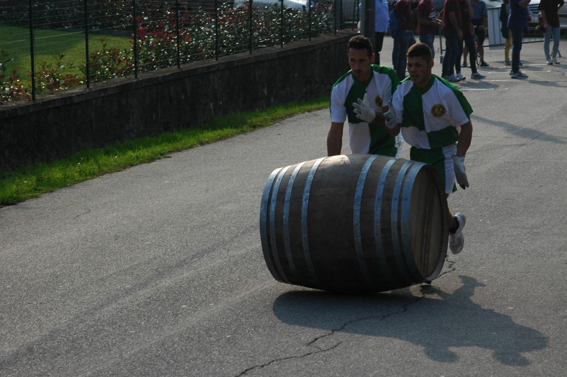 Maggiora 2014 (58)